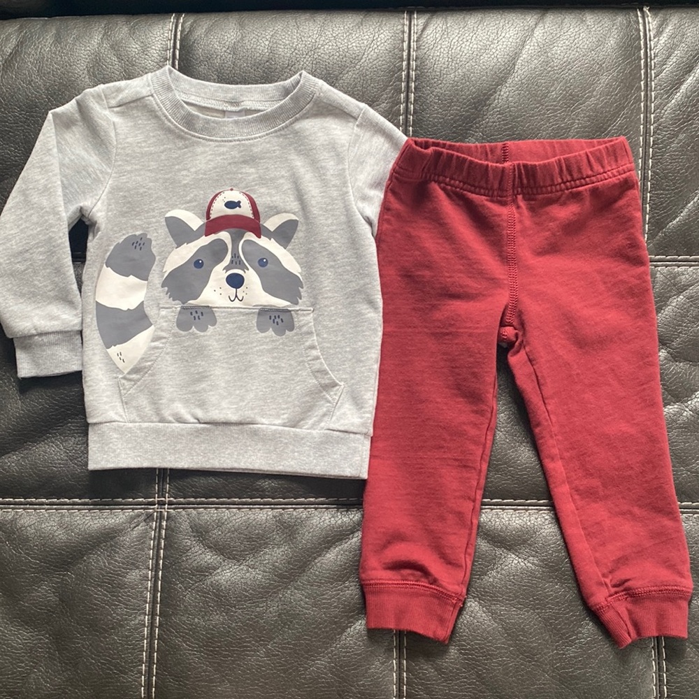 Carter’s 2T Toddler Raccoon Pullover and Jogger Set
